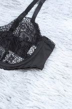 Sheer Lace Bra and Panty Set with Garter Belts